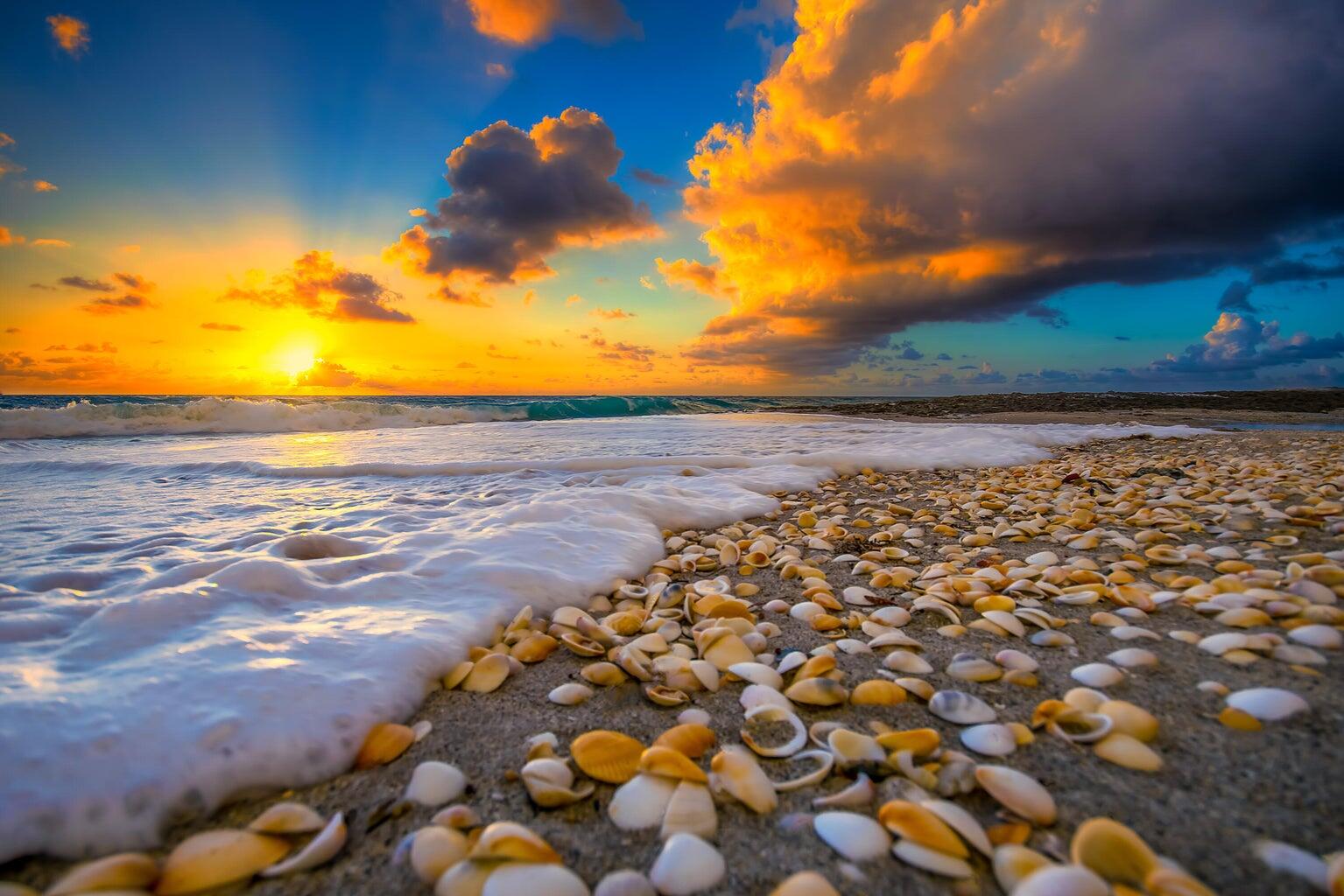 Riviera Beach, Florida, 33404, United States, 2 Bedrooms Bedrooms, ,2 BathroomsBathrooms,Residential,For Sale,1994901