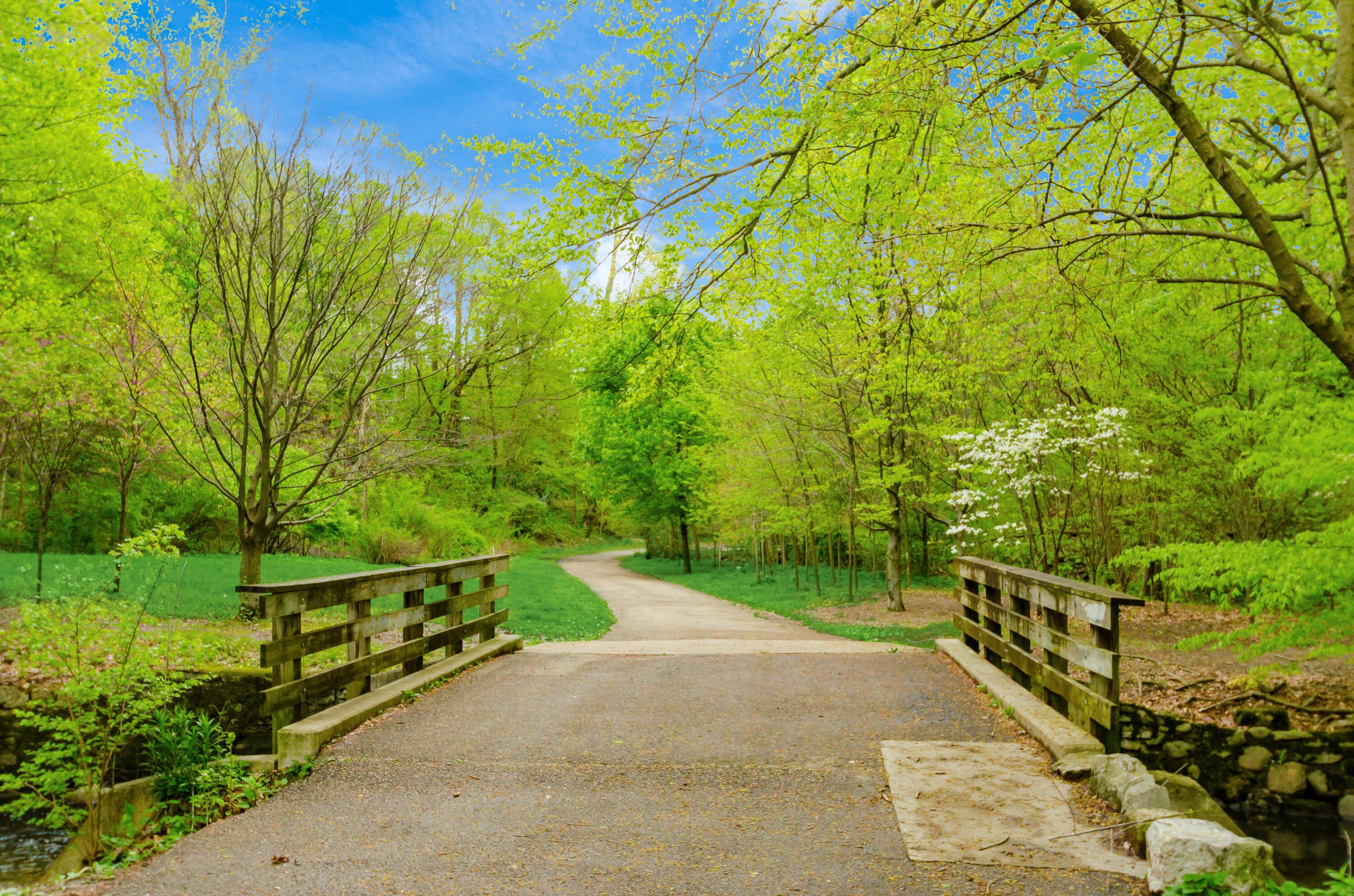 Columbus, Ohio, 43202, United States, 5 Bedrooms Bedrooms, ,4 BathroomsBathrooms,Residential,For Sale,1988321