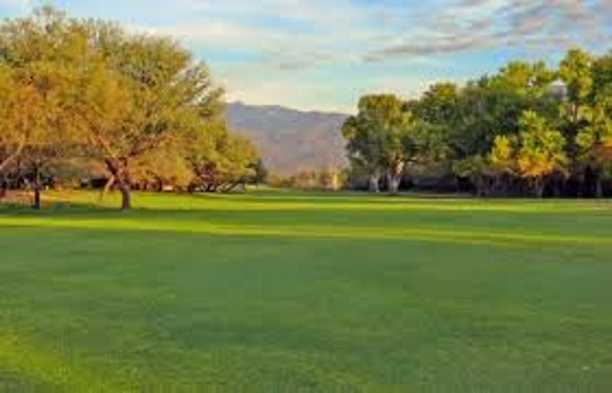  1947 N Soldier Trail, Tucson, AZ 85749 - 物件實景