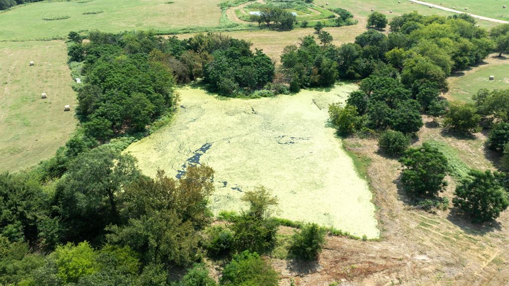 Yantis, Texas, 75497, United States, ,Land,For Sale,1917714