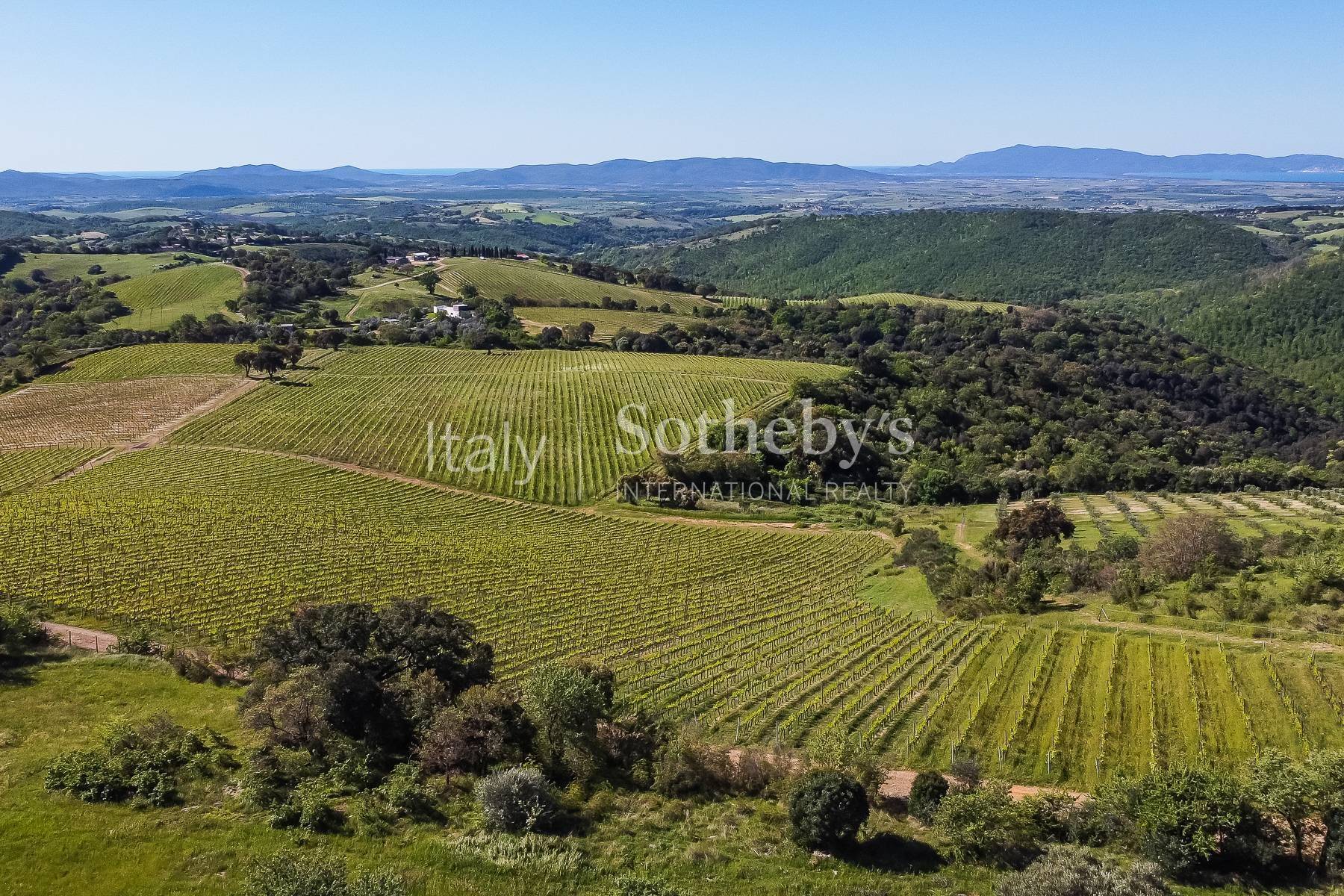  Exclusive wine estate in the Tuscan hills - 物件實景