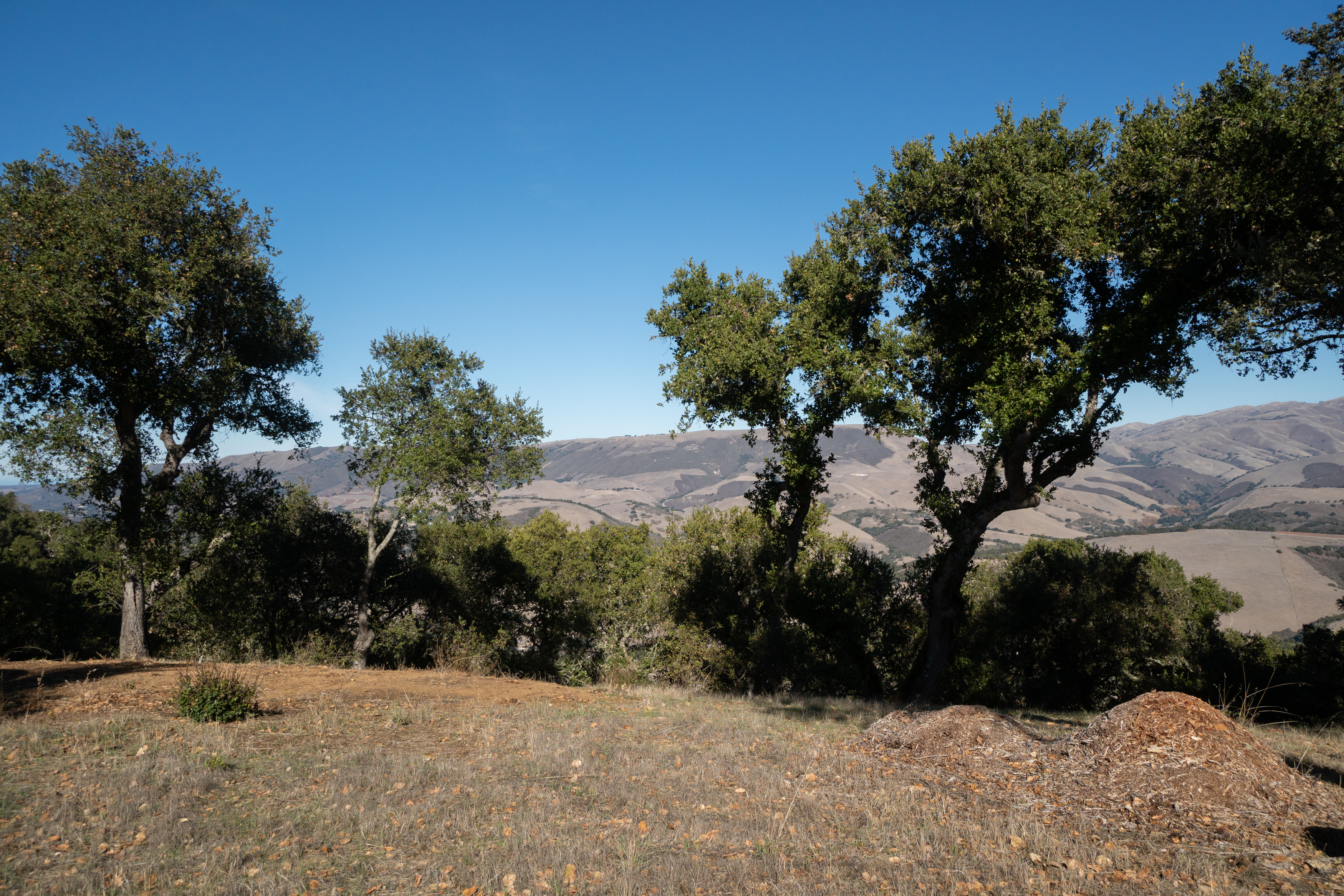  17114 Cachagua Road - 物件實景