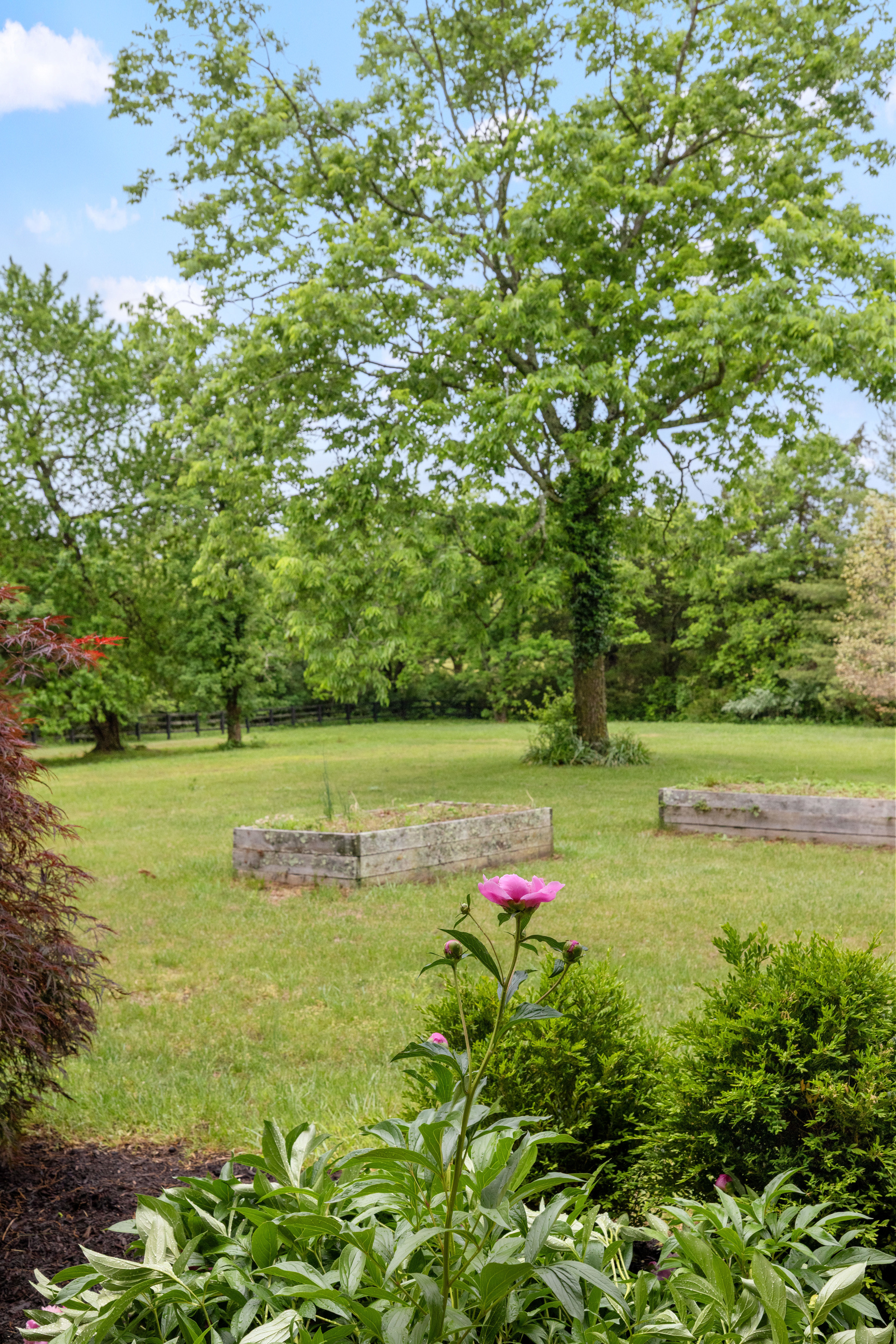  5108 Fords Mill Road - 物件實景