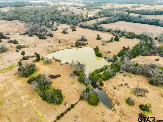 Van, Texas, 75790, United States, ,Land,For Sale,1981017