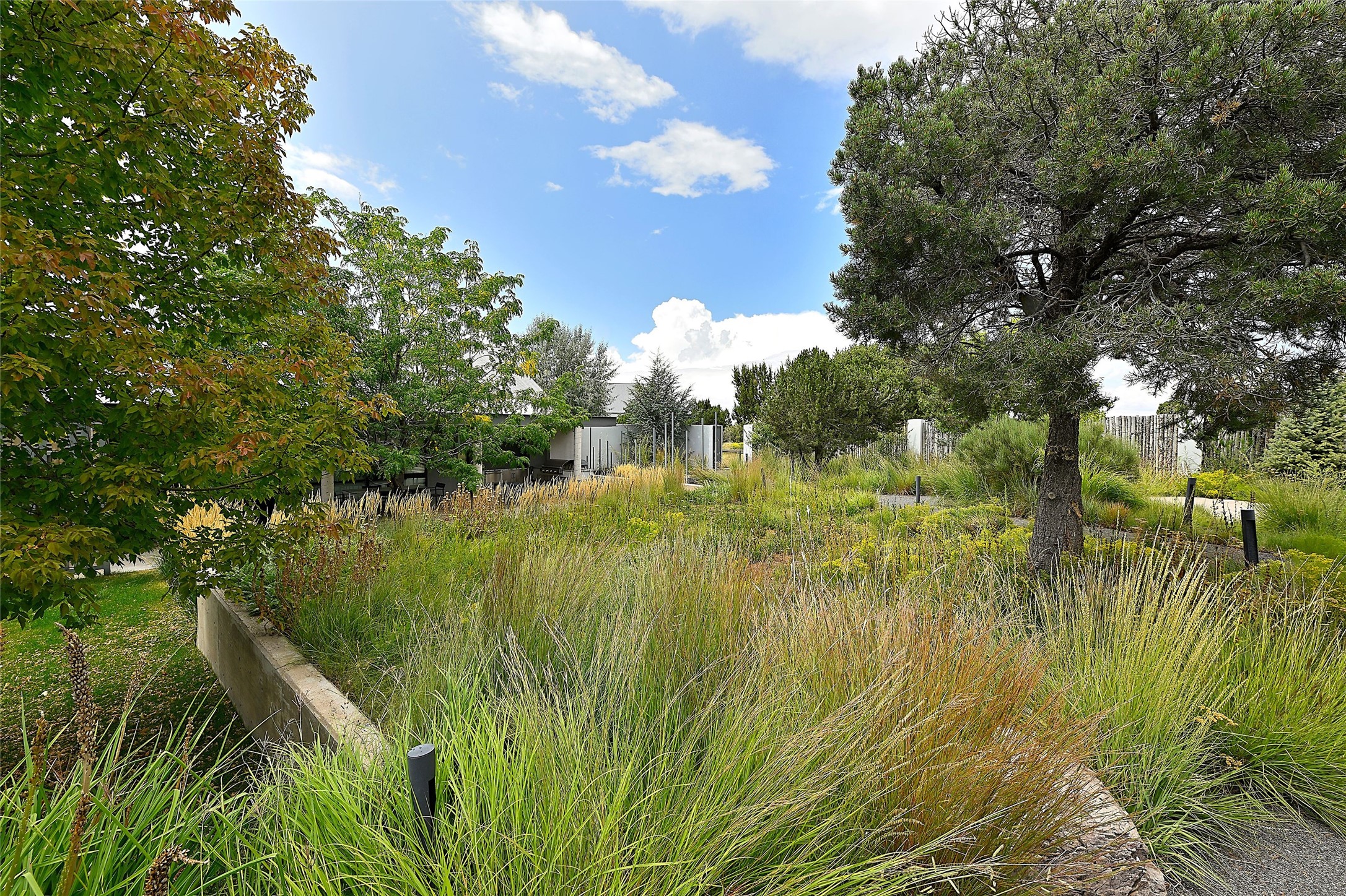  7 Camino Don Patron - 物件實景