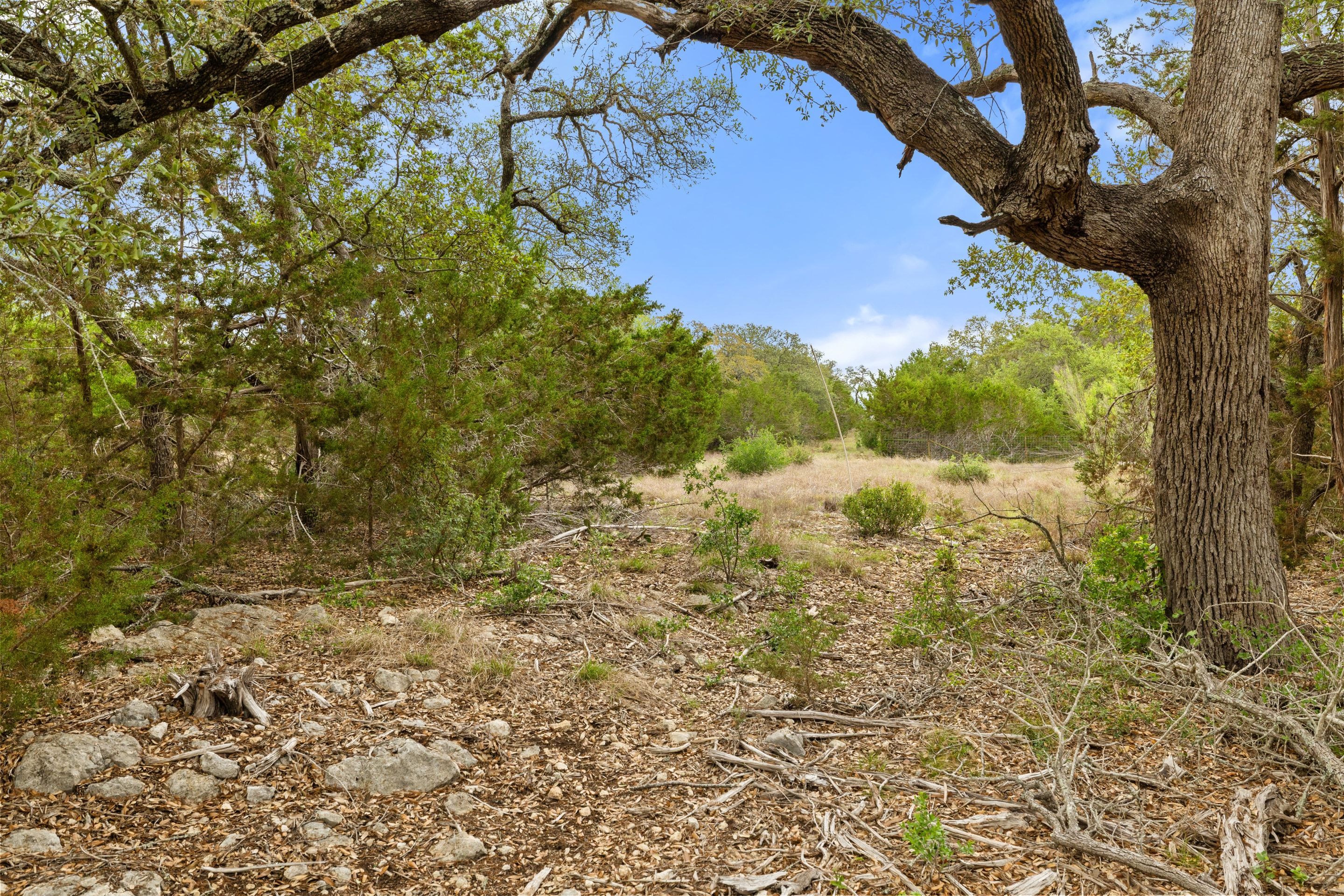  83 S Flat Rock Way - 5 Acre Lot in Gated Legacy Hills - 物件實景