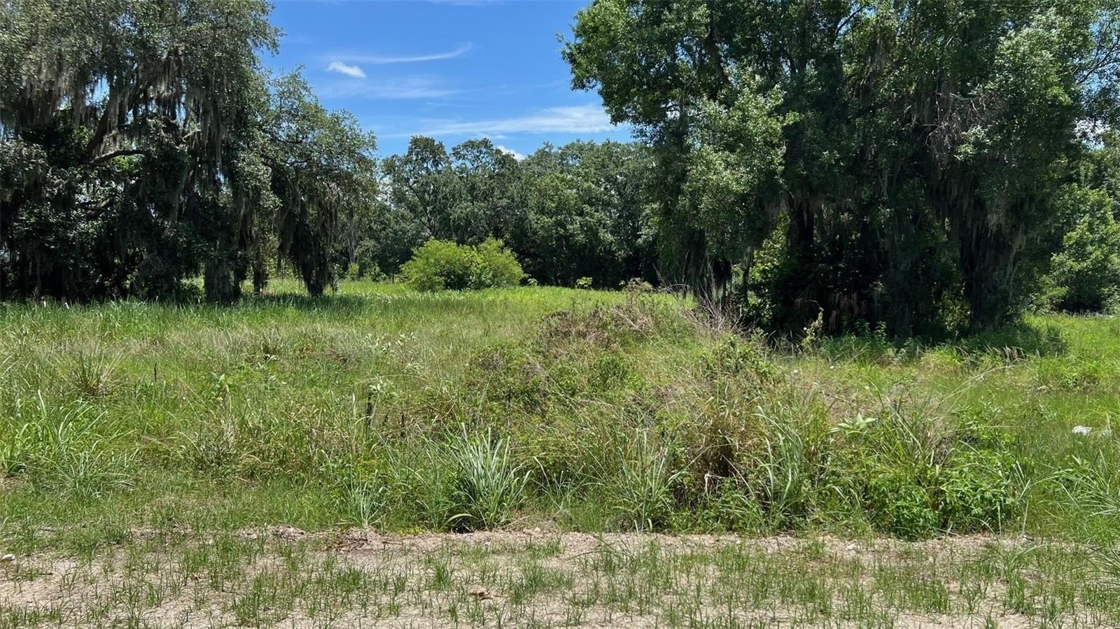 AUBURNDALE, Florida, 33823, United States, ,Land,For Sale,1977523