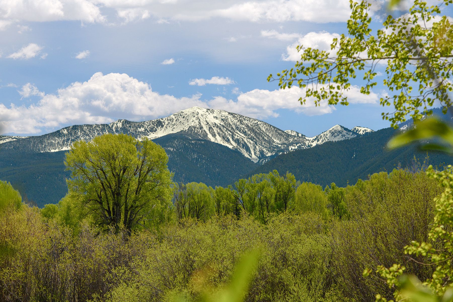  In the Shadow of the Tetons - 物件實景