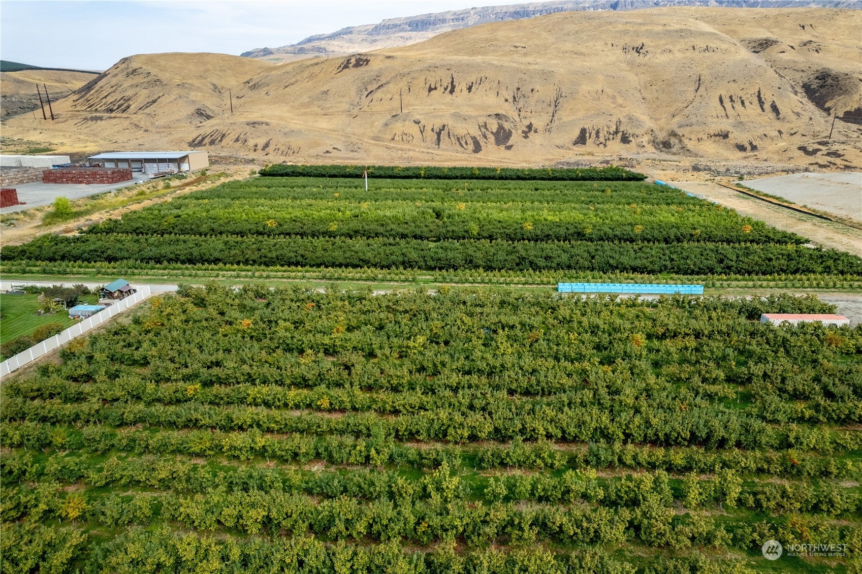 0 S Ward Avenue, East Wenatchee, Washington, 98802, United States, ,Land,For Sale,0 S Ward Avenue,1517879