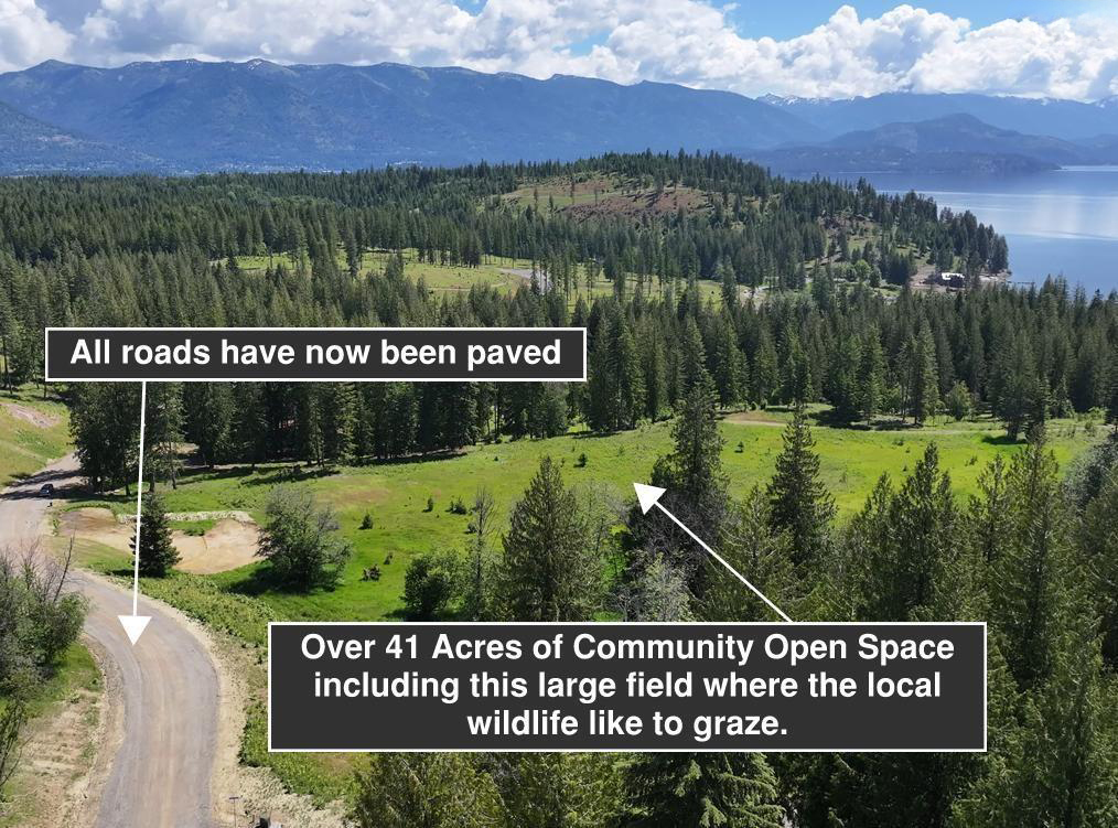 Sagle, Idaho, 83860, United States, ,Land,For Sale,1980438