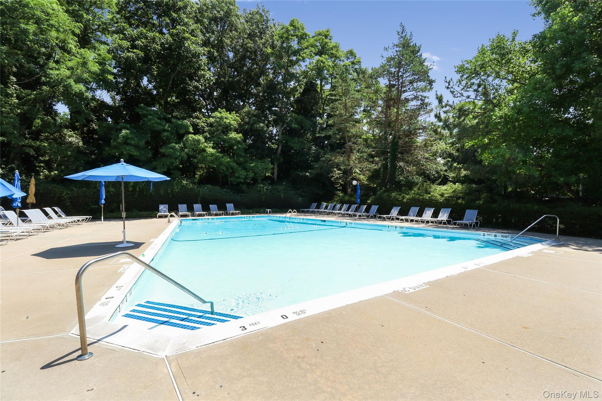  215 Summit Way, Syosset, NY, 11791 - 物件實景