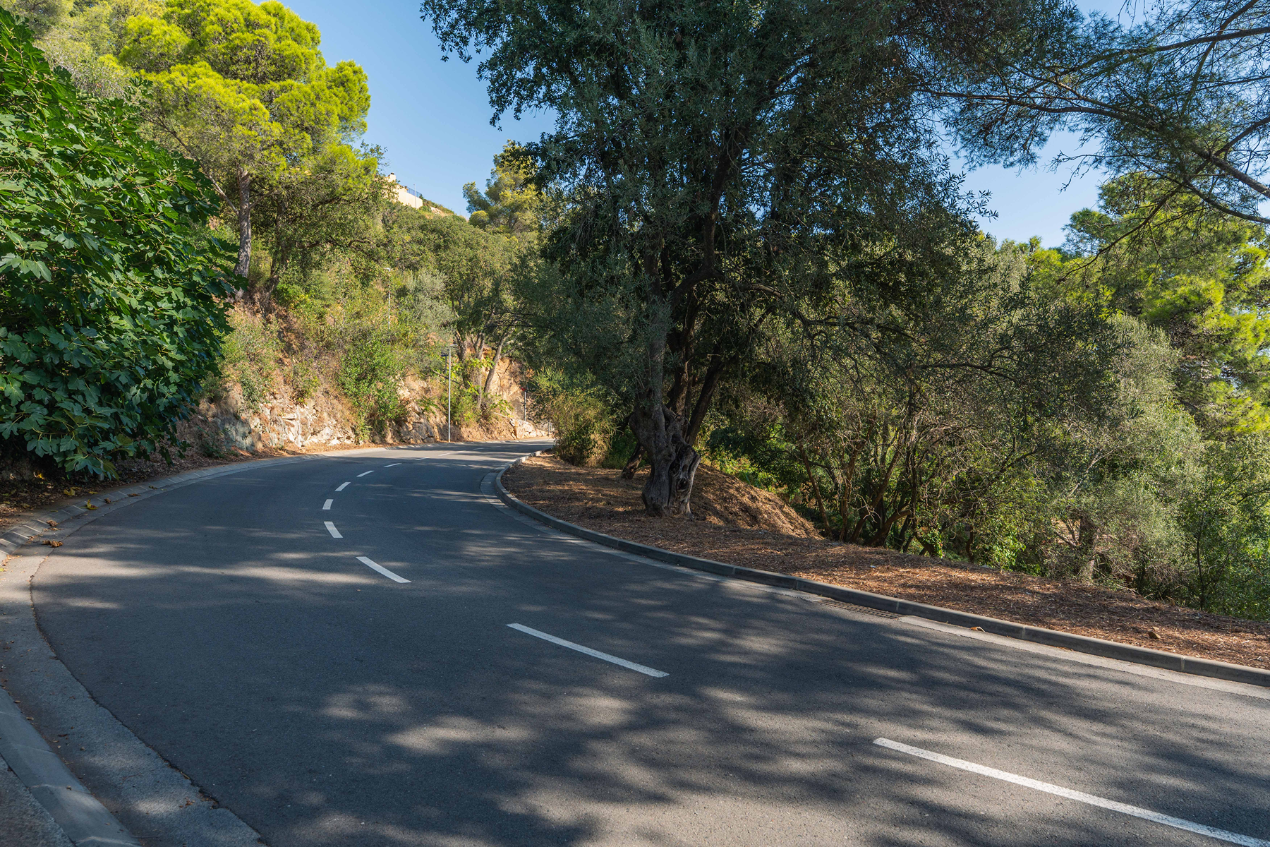  Good plot with a single-family home project in Sa Riera, Begur - 物件實景