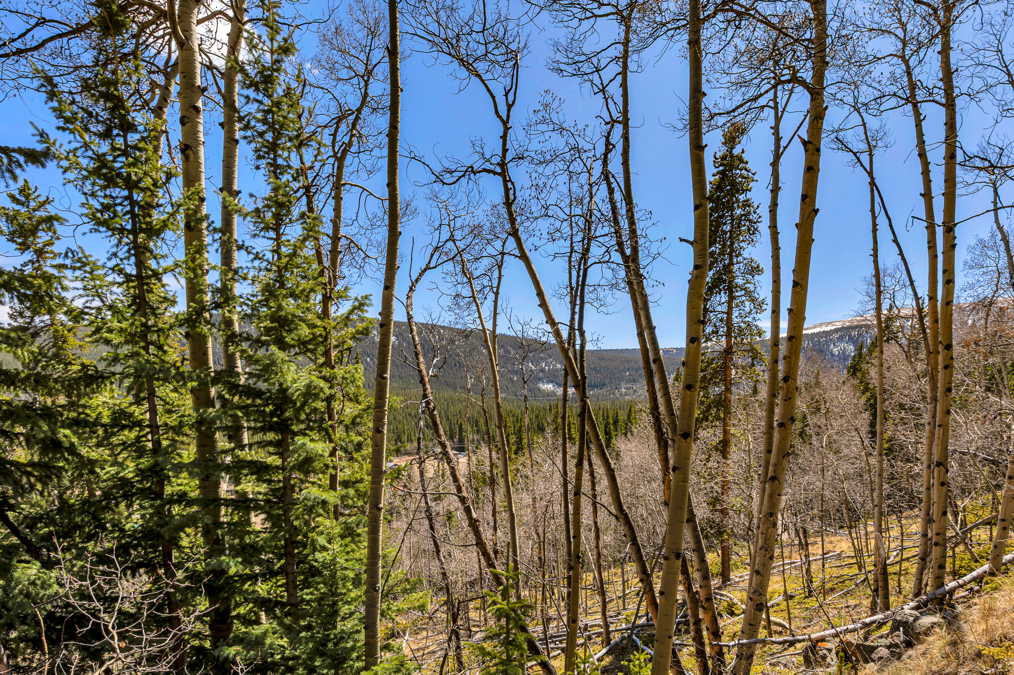  270 Co Rd 667, Alma, CO, 80440 - 物件實景