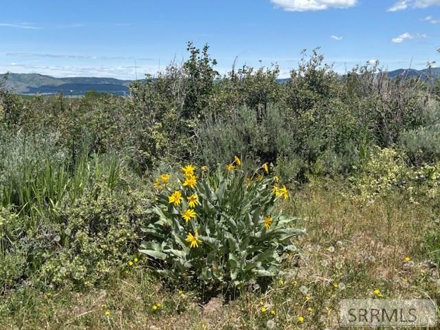 RIRIE, Idaho, 83443, United States, ,Residential,For Sale,1974893