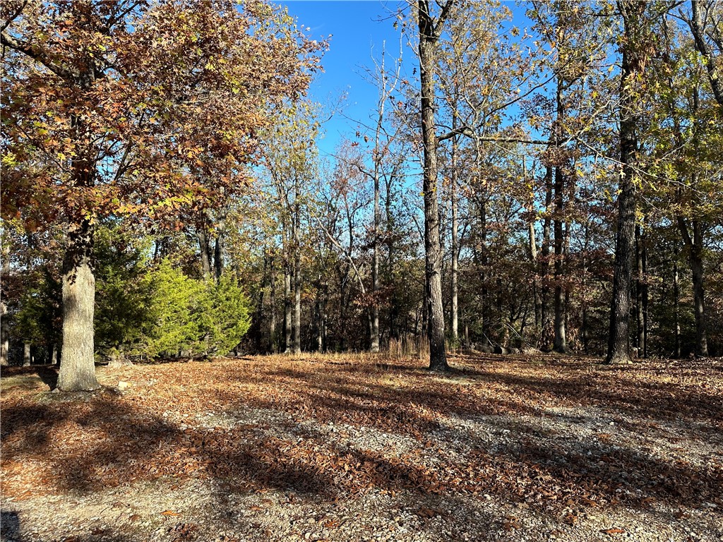 3858 Mundell Road, Eureka Springs, Arkansas, 72631, United States, 4 Bedrooms Bedrooms, ,3 BathroomsBathrooms,Residential,For Sale,3858 Mundell Road,1673391