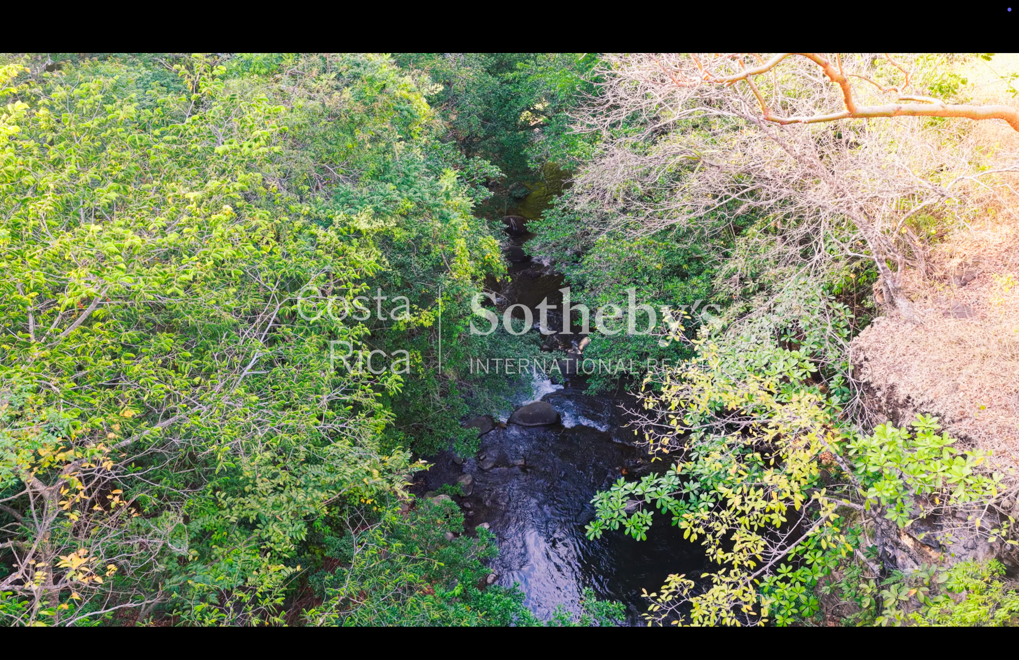  Curubande River Forest Treasure - 物件實景