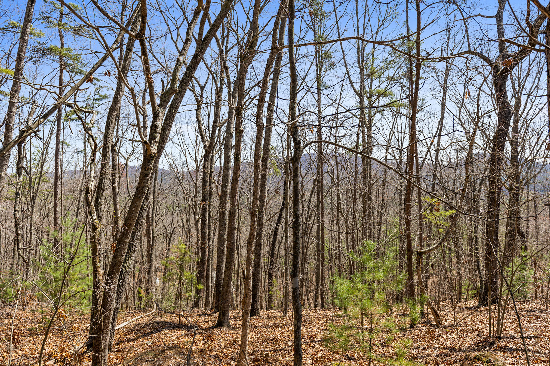  Stunning 1.42 Acre Lot in Hyde Creek - 物件實景