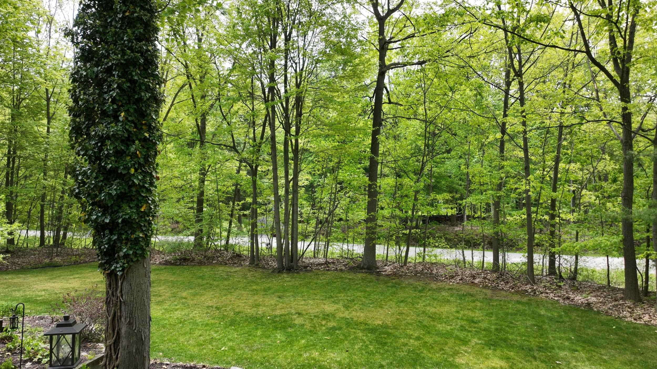 Midland, Michigan, 48642, United States, 5 Bedrooms Bedrooms, ,5 BathroomsBathrooms,Residential,For Sale,2049477