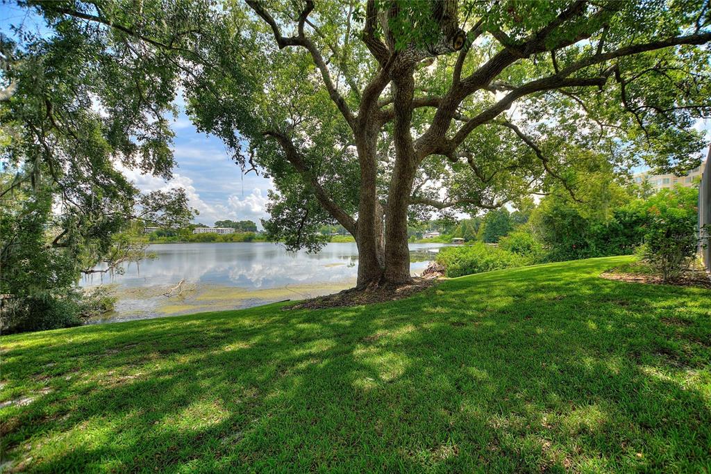 Winter Haven, Florida, 33881, United States, 4 Bedrooms Bedrooms, ,3 BathroomsBathrooms,Residential,For Sale,1911221
