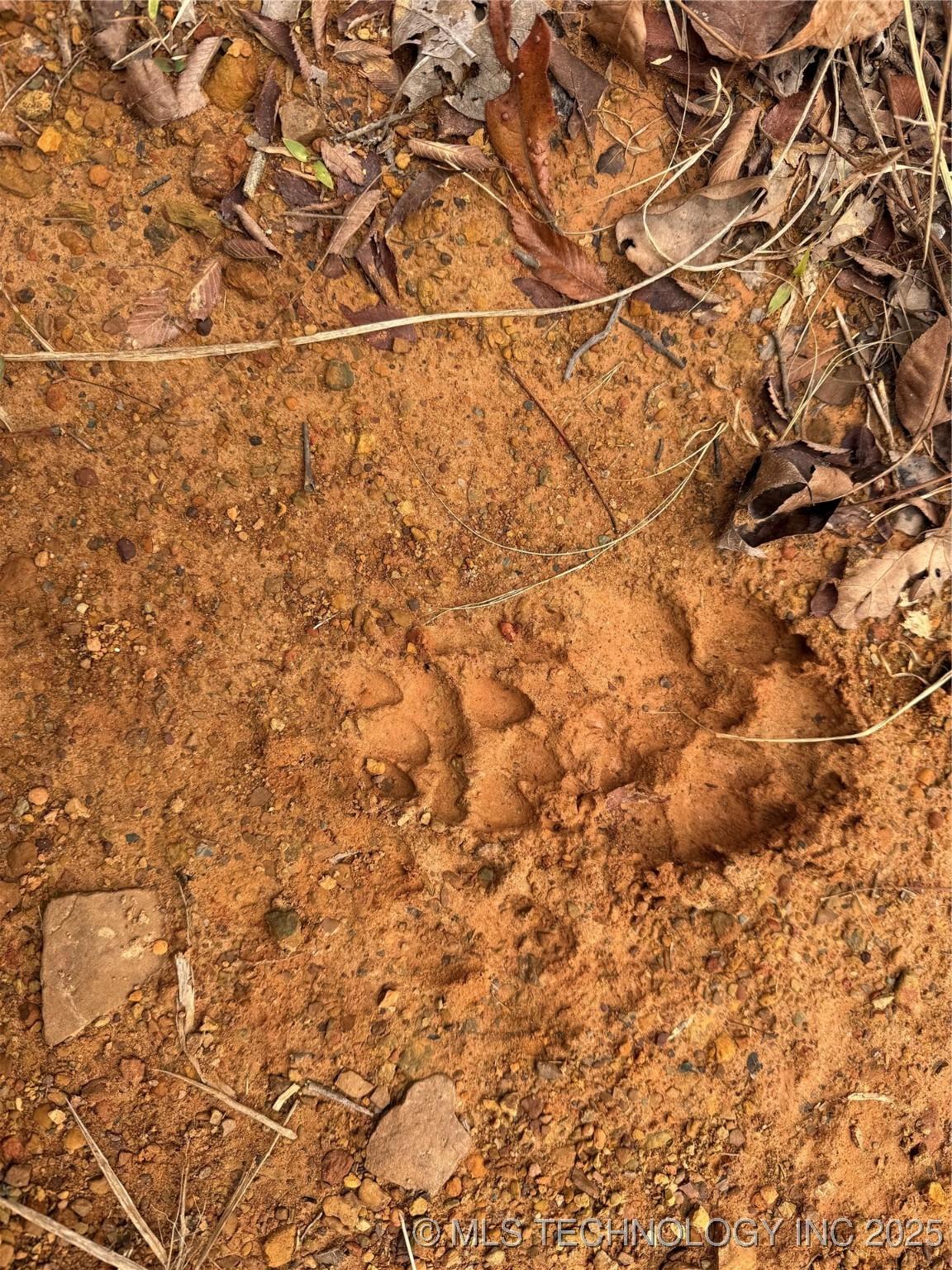 Fort Gibson, Oklahoma, 74434, United States, ,Residential,For Sale,2006417