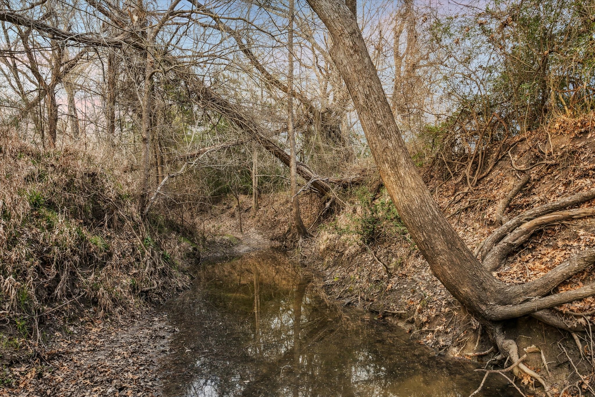  13167 Fm 389 Road - 物件實景