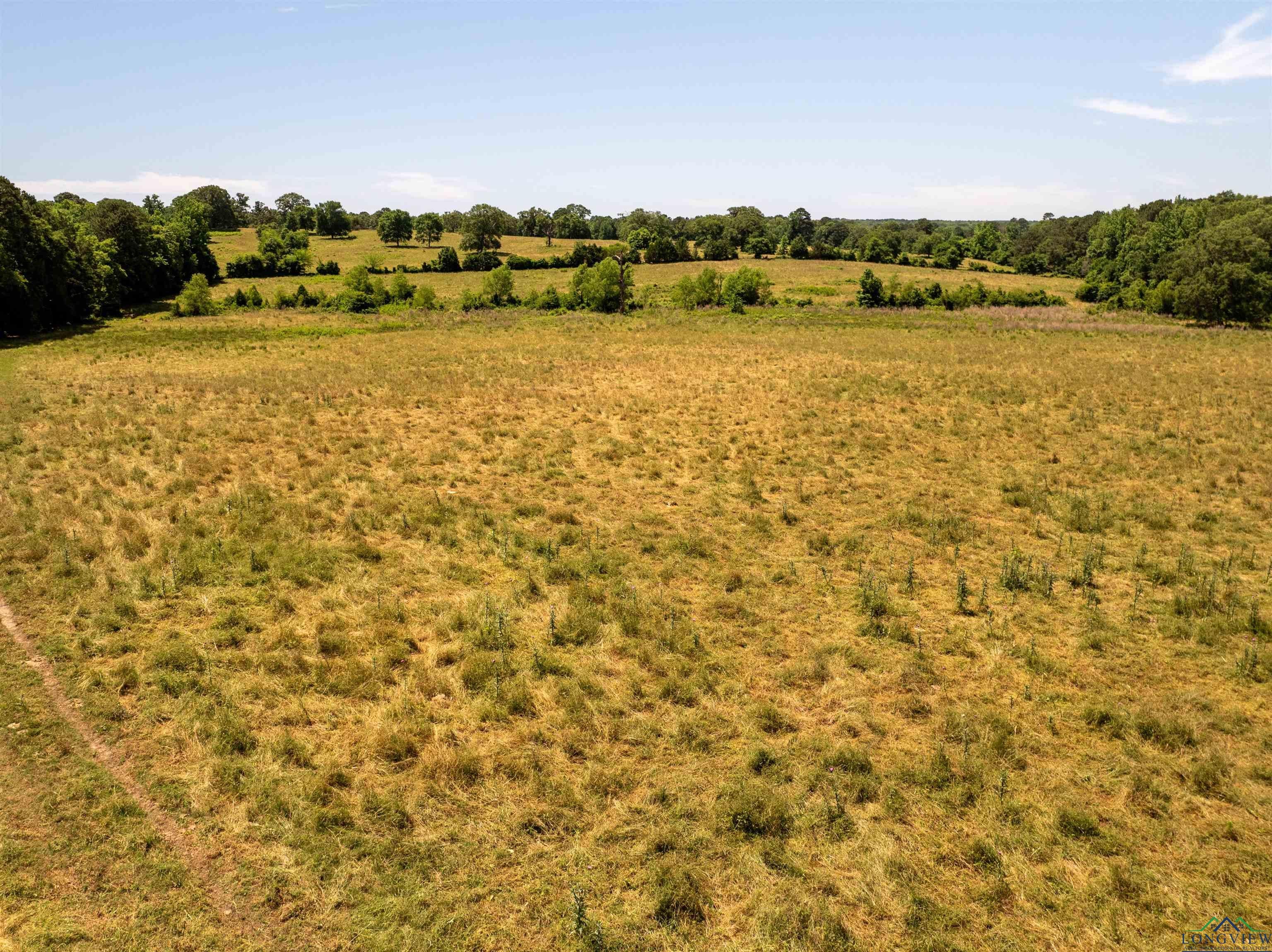 7557 FM 248, Lodi, Texas, 75564, United States, ,Residential,For Sale,7557 FM 248,1614560