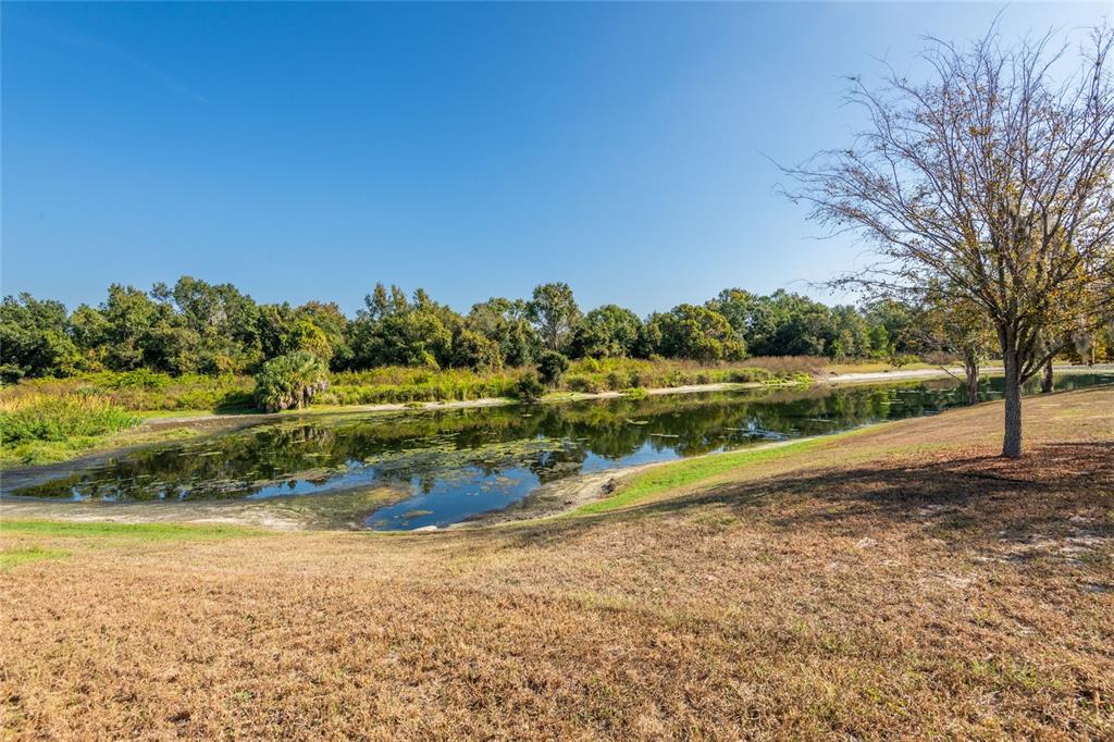 Riverview, Florida, 33569, United States, 4 Bedrooms Bedrooms, ,2 BathroomsBathrooms,Residential,For Sale,1999203