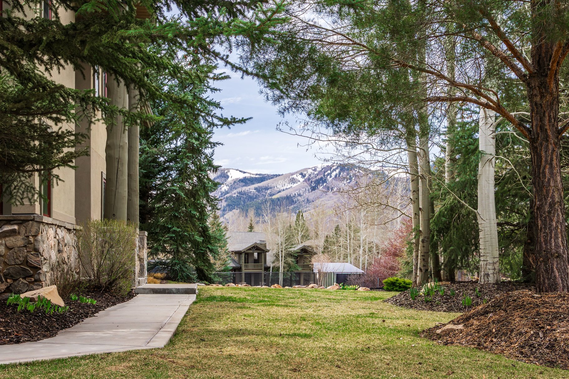  Refined Park Meadows Corner Residence with Ski Run Views & Designer Renovations - 物件實景