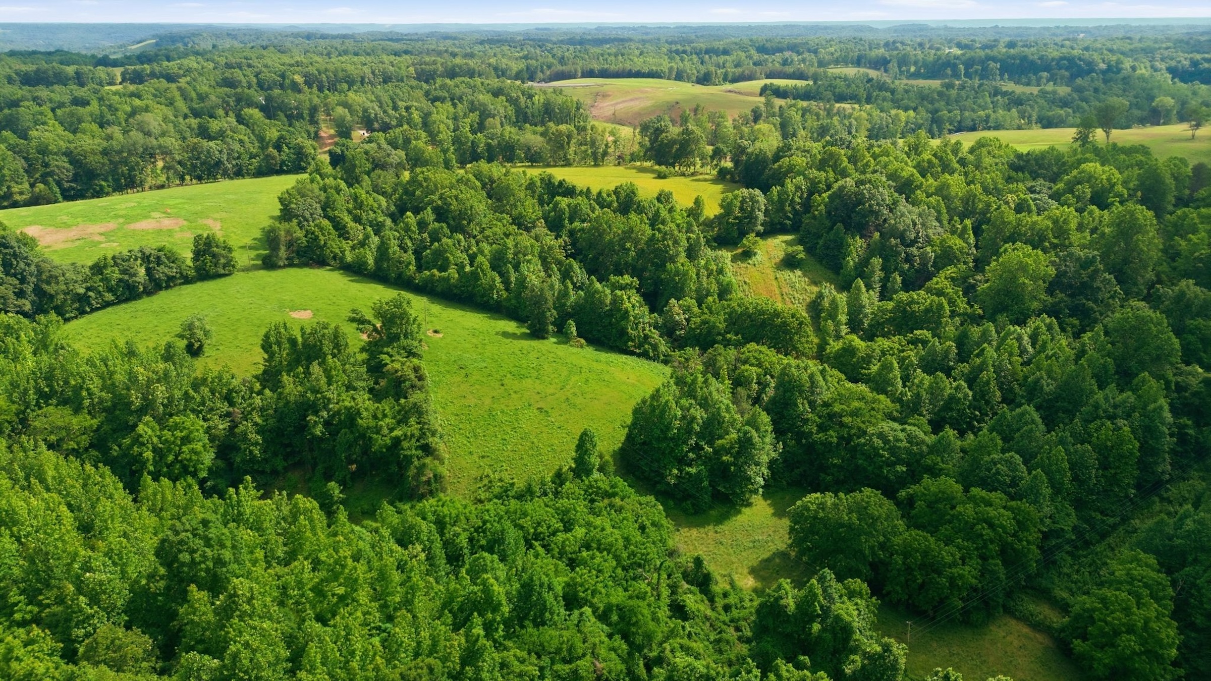  925 Sumac Rd, Pulaski, TN, 38478 - 物件實景