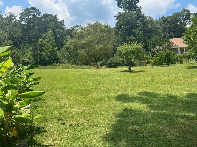 Titus, Alabama, 36080, United States, 3 Bedrooms Bedrooms, ,2 BathroomsBathrooms,Residential,For Sale,1920844