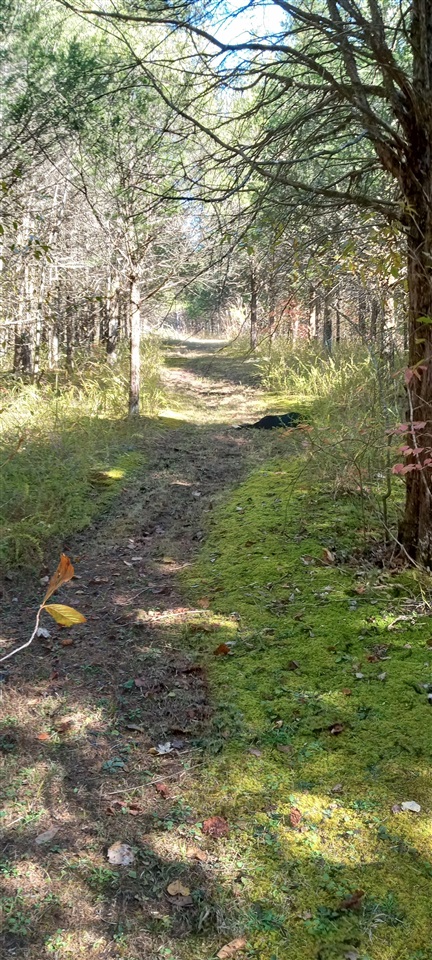 Willow Shade, Kentucky, 42166, United States, 3 Bedrooms Bedrooms, ,2 BathroomsBathrooms,Residential,For Sale,1991903