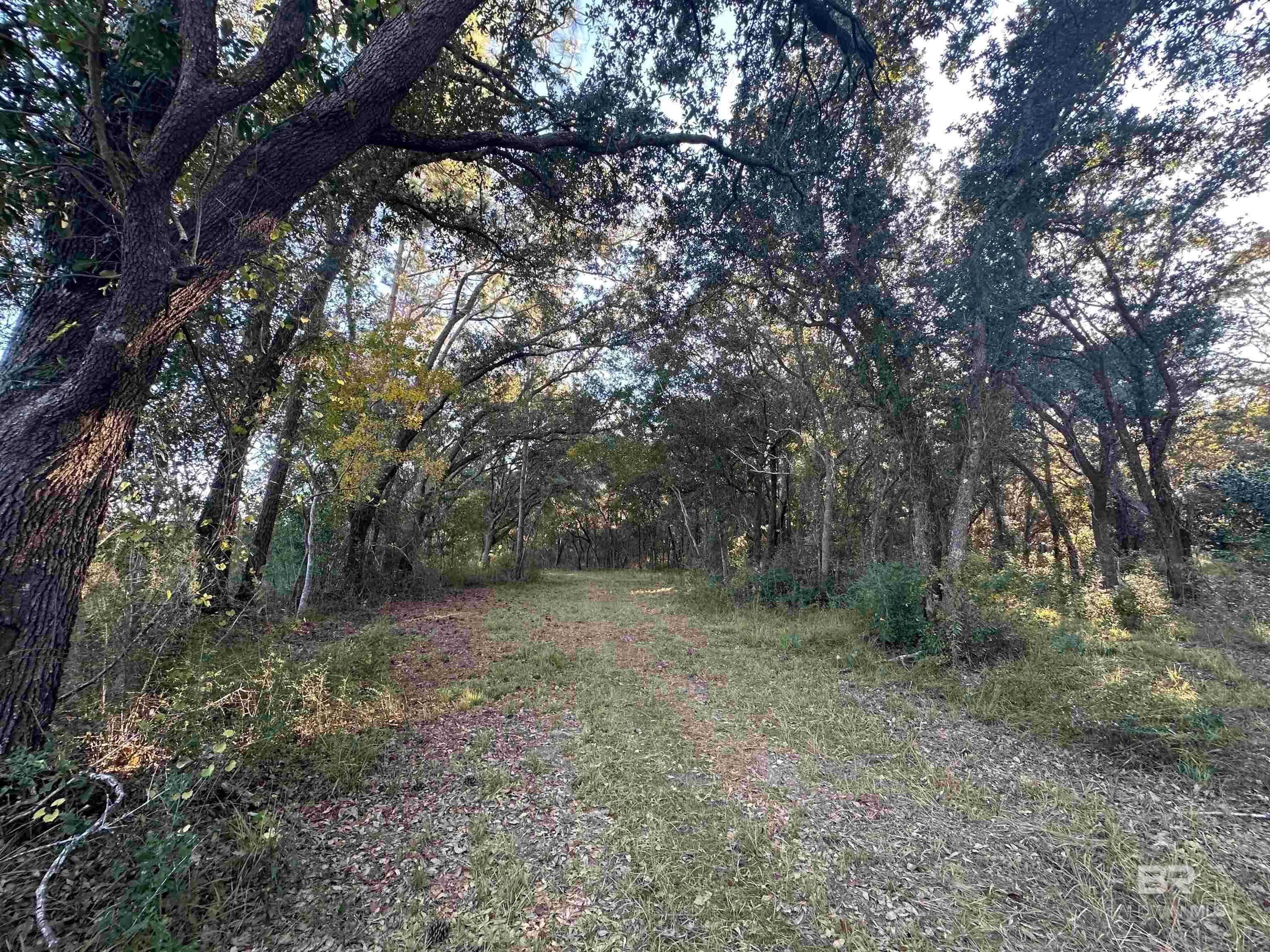 Foley, Alabama, 36535, United States, ,Land,For Sale,1992817