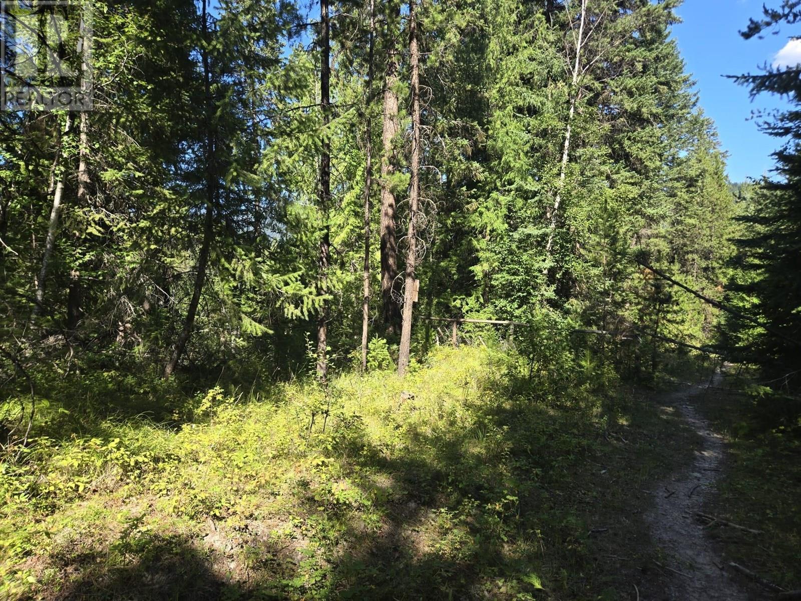 FALKLAND, British Columbia, V0E 1W1, CA, ,Residential,For Sale,1906760
