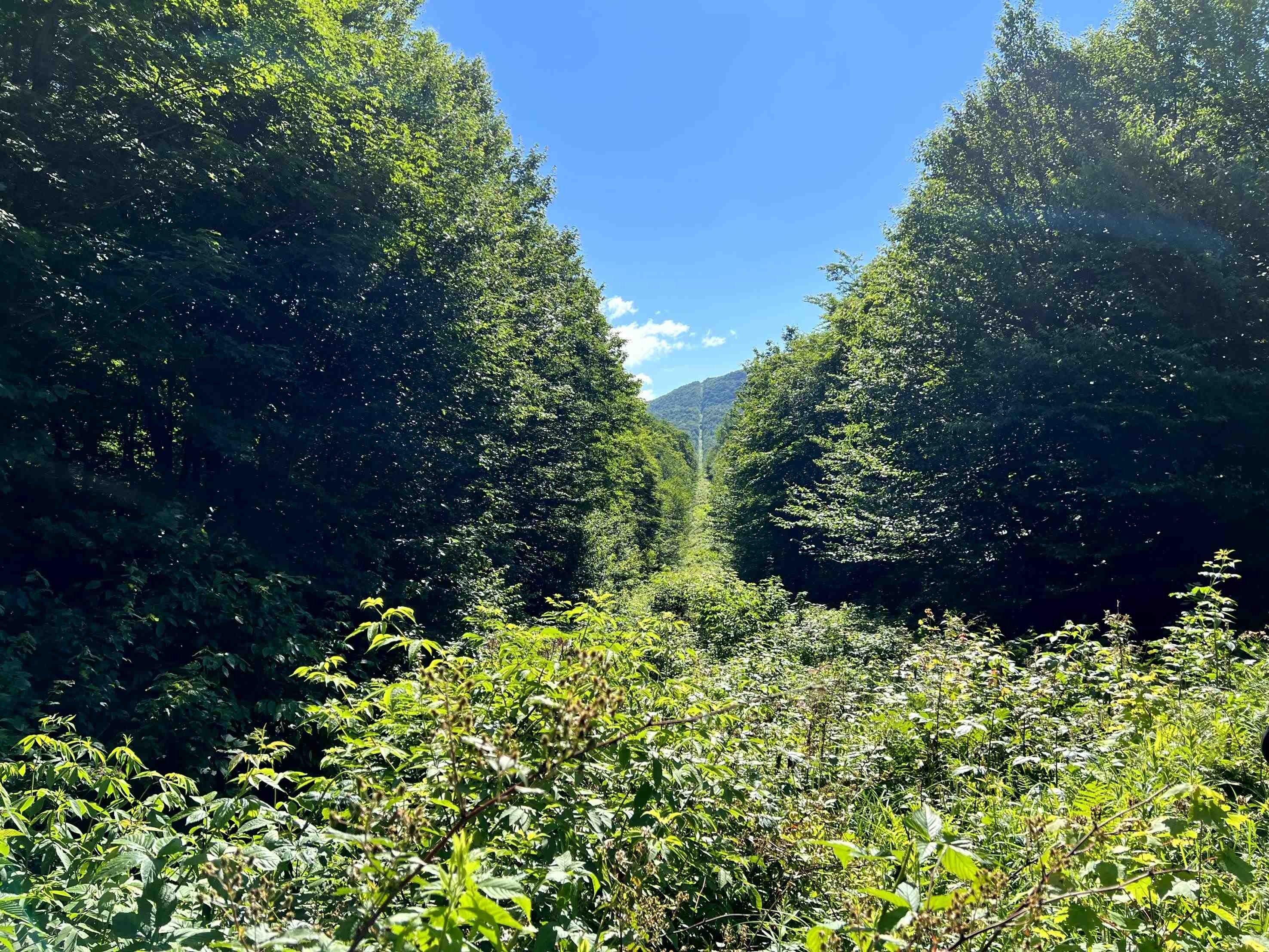 Jay, Vermont, 05859, United States, ,Land,For Sale,1999221