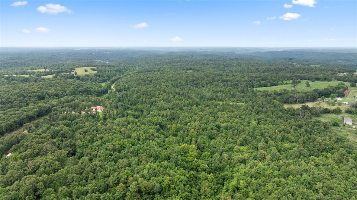 Noel, Missouri, 64854, United States, ,Land,For Sale,1785483