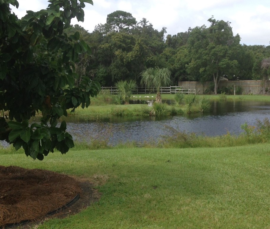 Fernandina Beach, Florida, 32034, United States, ,Land,For Sale,1974147
