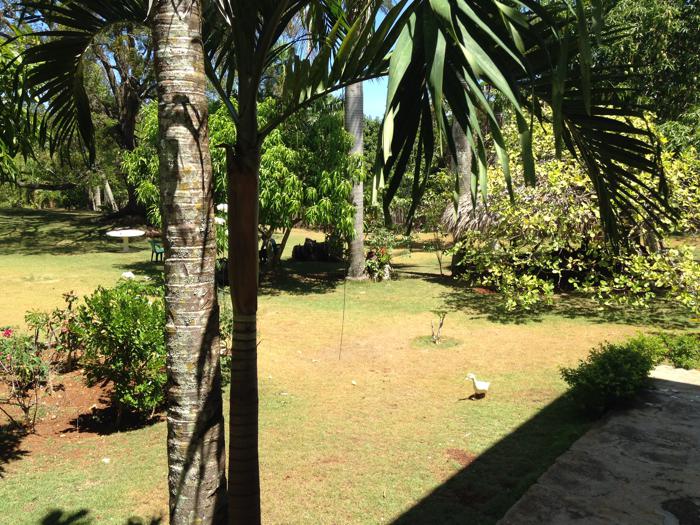 Sosua, DO, 3 Bedrooms Bedrooms, ,3 BathroomsBathrooms,Residential,For Sale,1624483