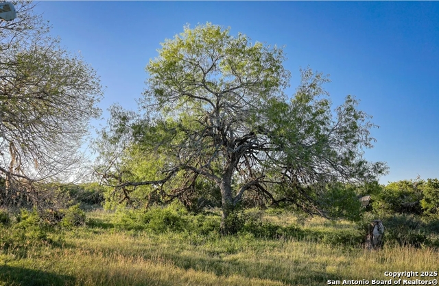 Beeville, Texas, 78102, United States, ,Land,For Sale,1988333