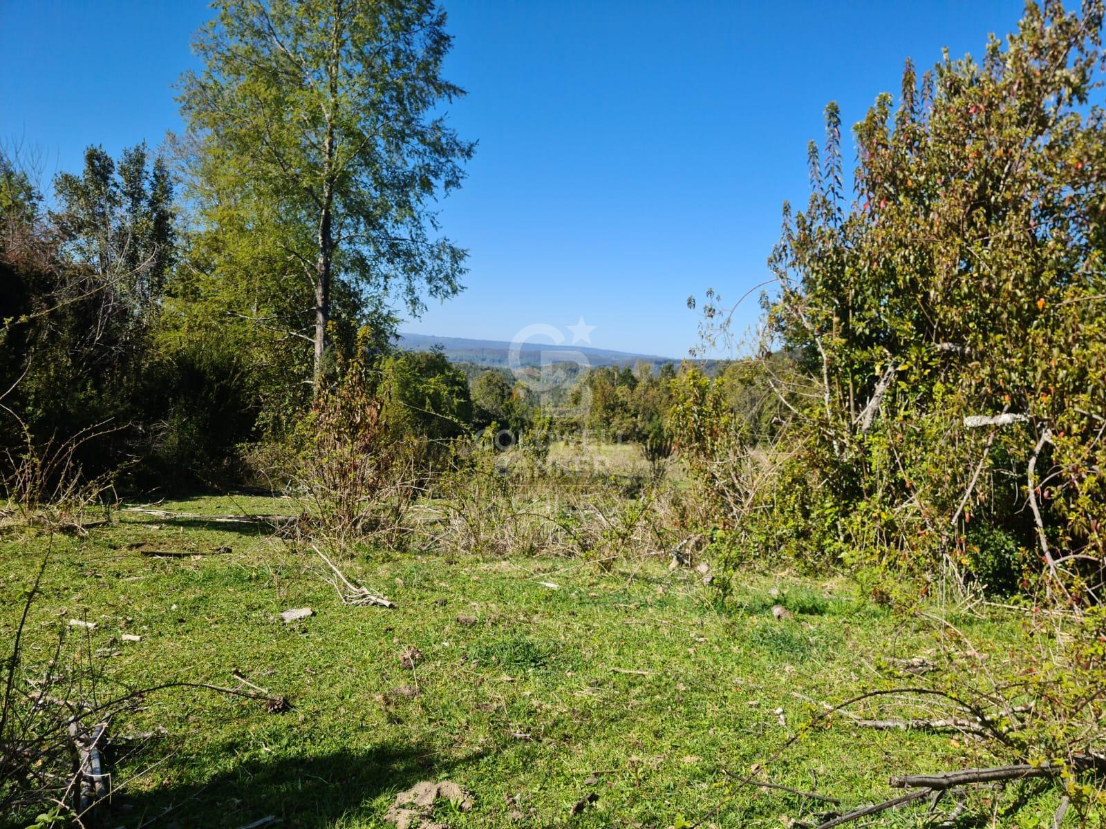 Fresia, Chile, ,Residential,For Sale,1913252