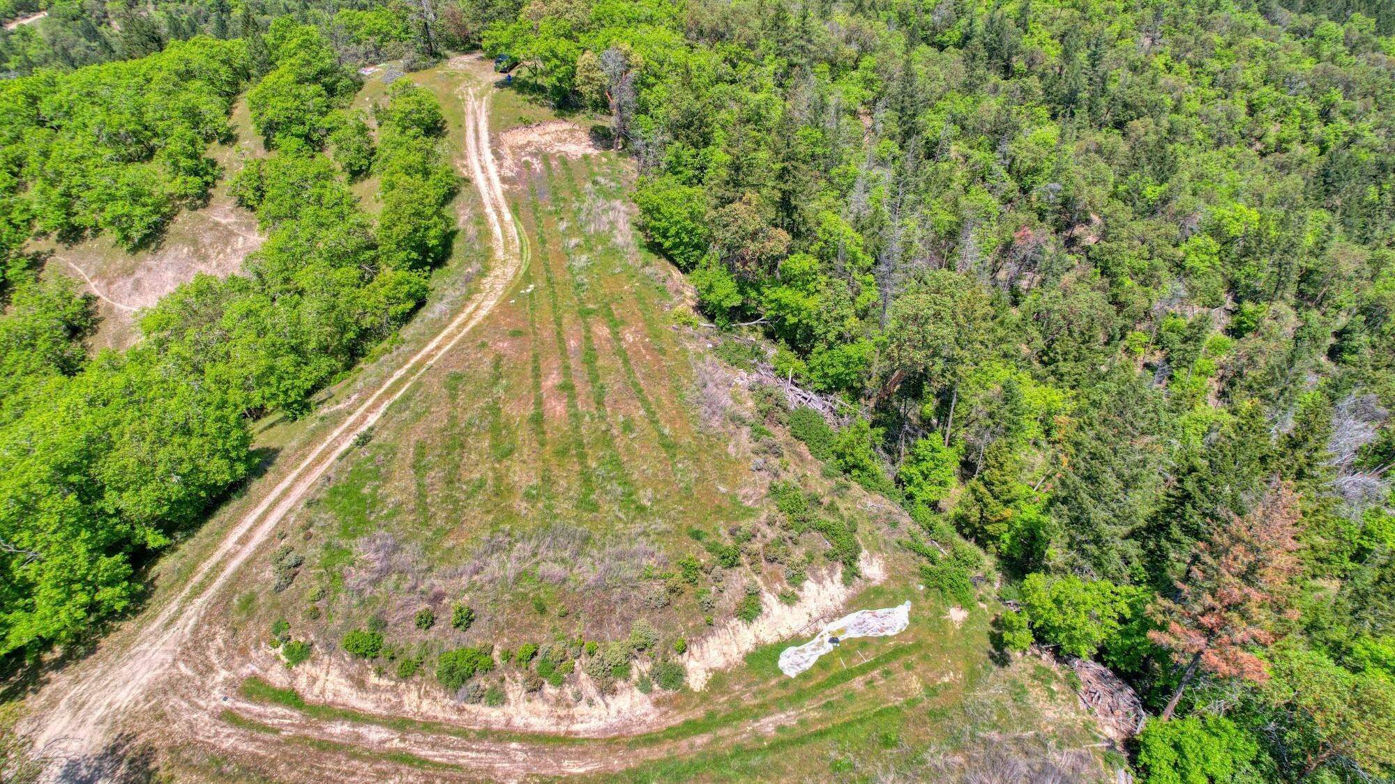Grants Pass, Oregon, 97526, United States, 3 Bedrooms Bedrooms, ,2 BathroomsBathrooms,Residential,For Sale,1982829