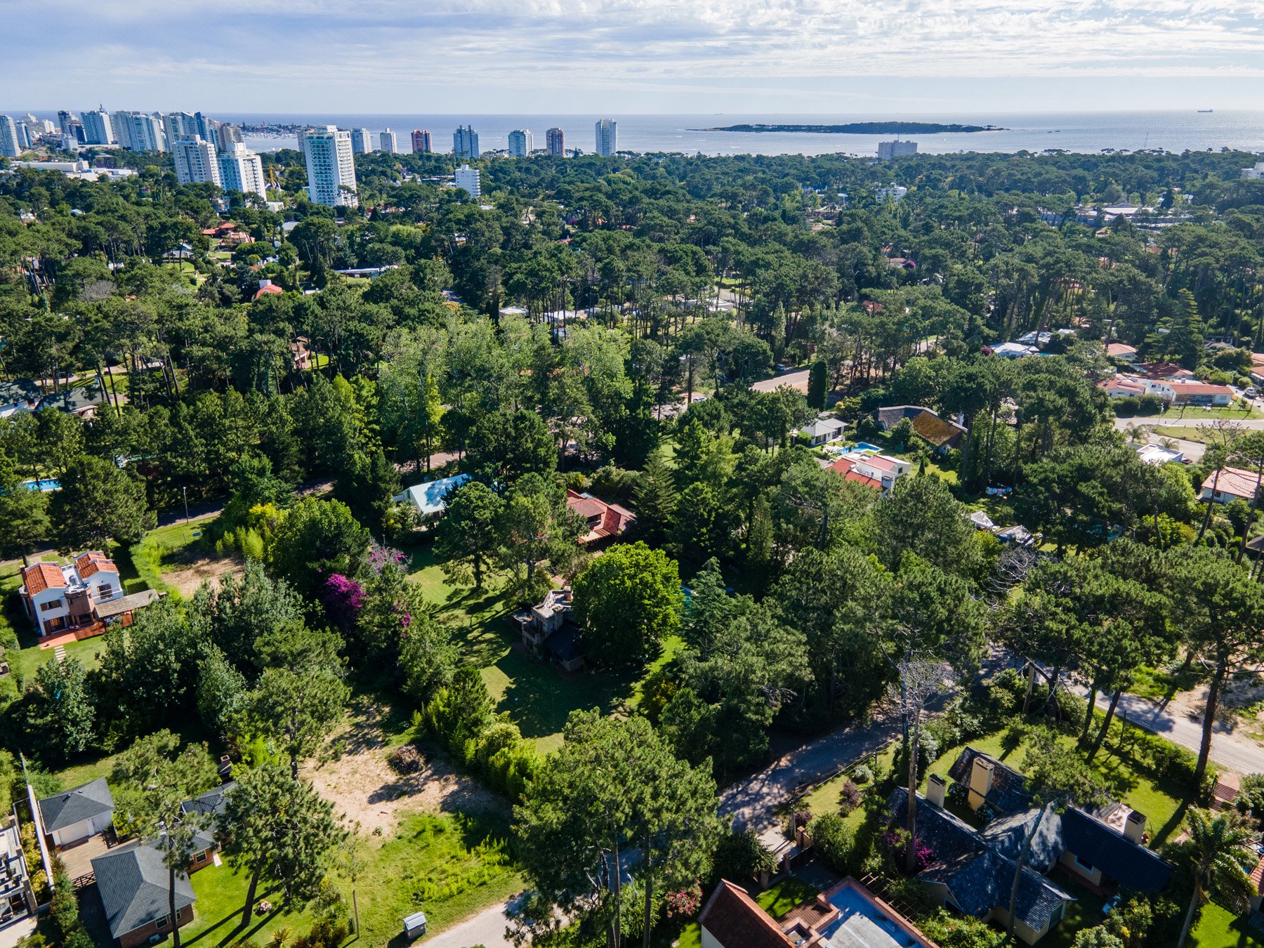  Prominent property in a residential neighborhood - 物件實景