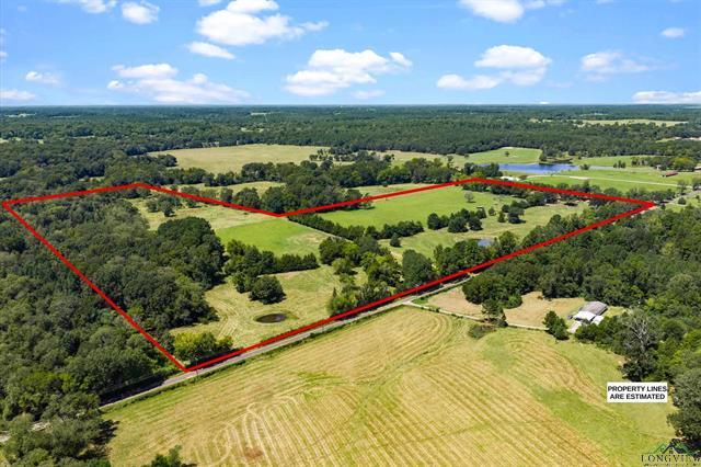 Henderson, Texas, 75652, United States, 3 Bedrooms Bedrooms, ,2 BathroomsBathrooms,Residential,For Sale,1958802