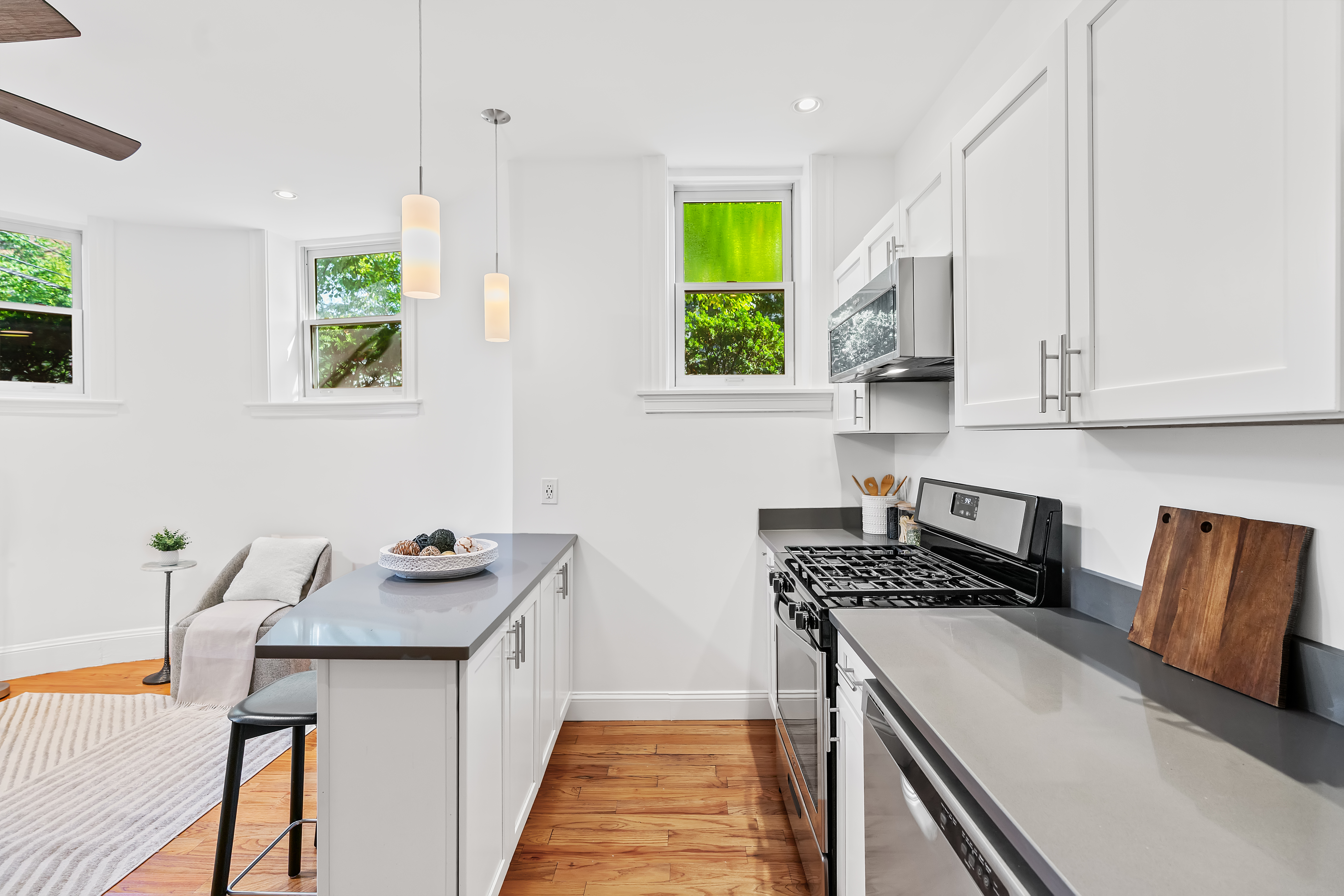  97 Fuller Street  - Unit 4, Brookline, MA, 02446 - 物件實景