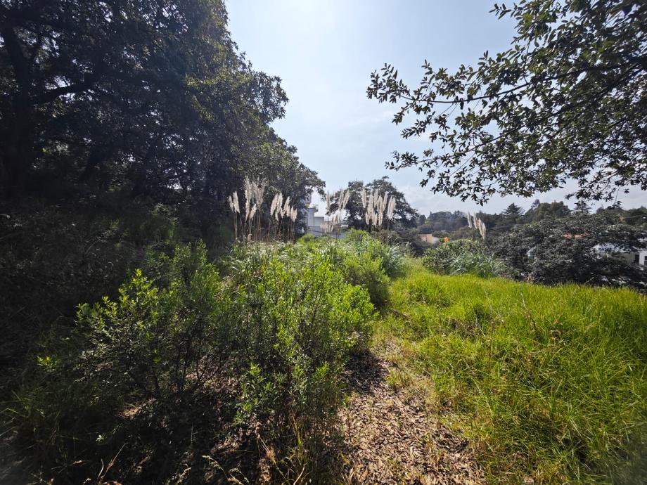 Capulines, Atizapán de Zaragoza, Estado de México, 52938, Mexico, 1 Bedroom Bedrooms, ,Residential,For Sale,Capulines,1443866