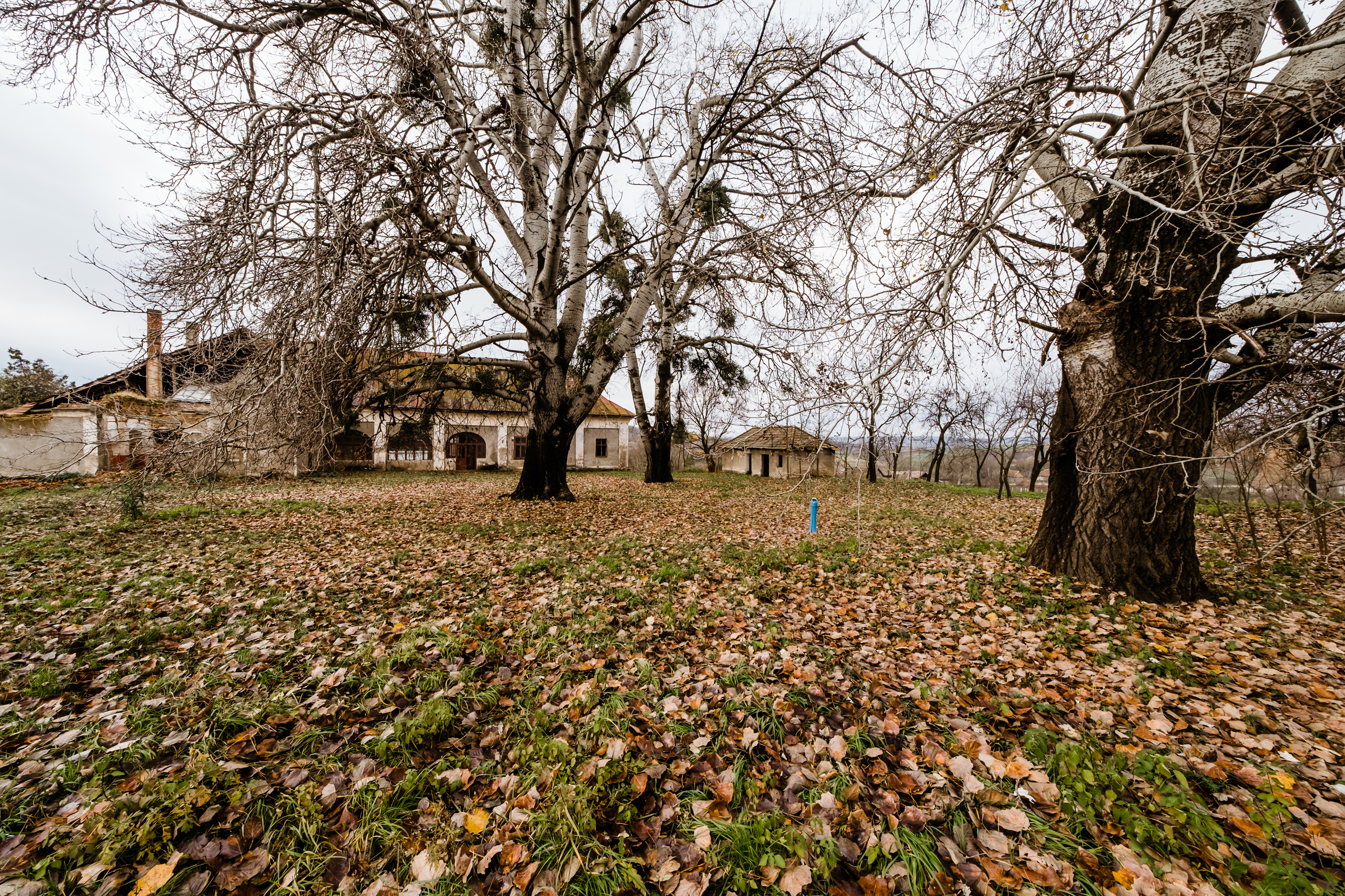  The Bónis Manor from Cubulcut - A Retreat of the Hungarian Crown - 物件實景