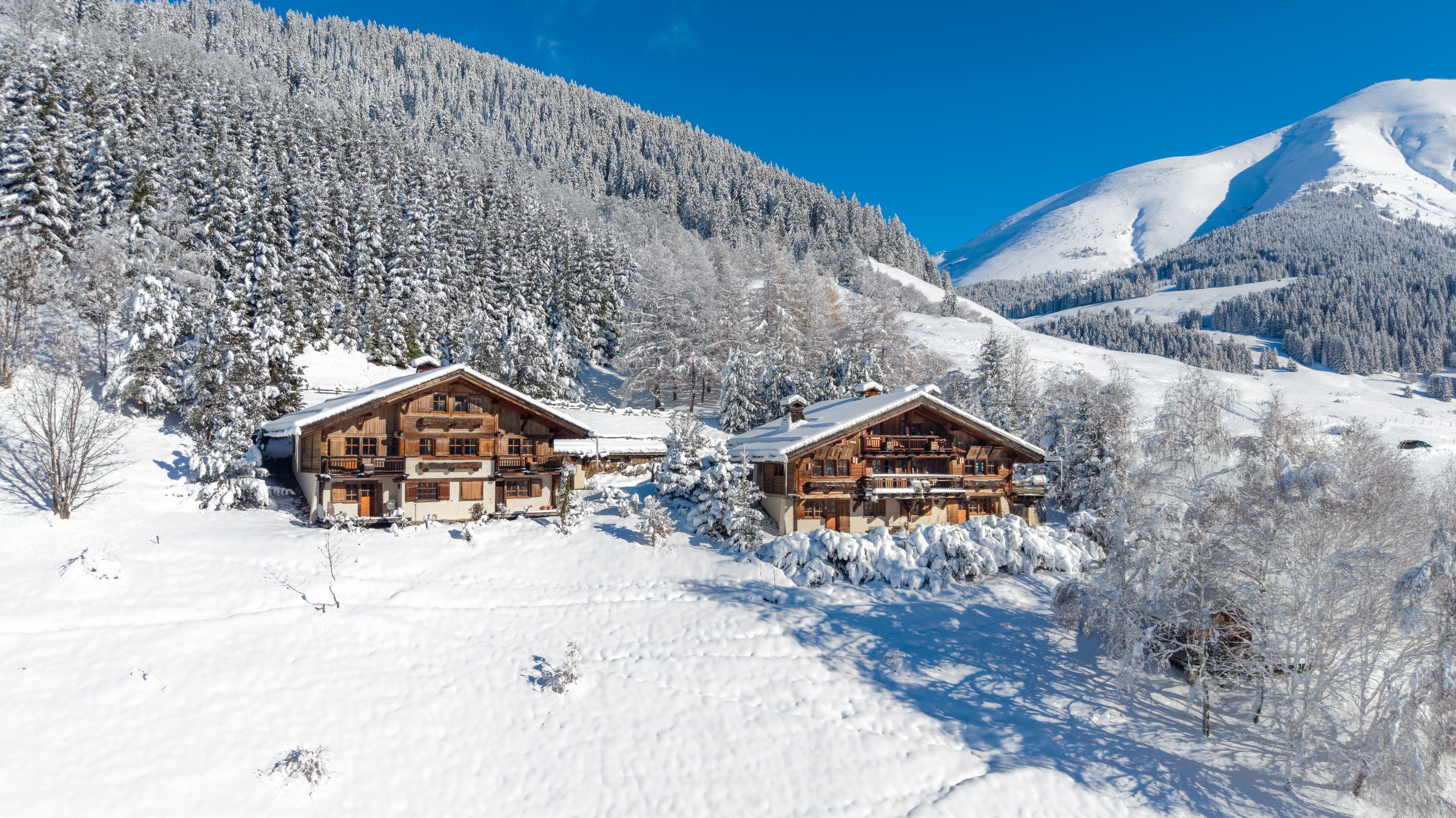  Domaine Épervier - Two connected chalets on a 20,000 m² plot - 物件實景