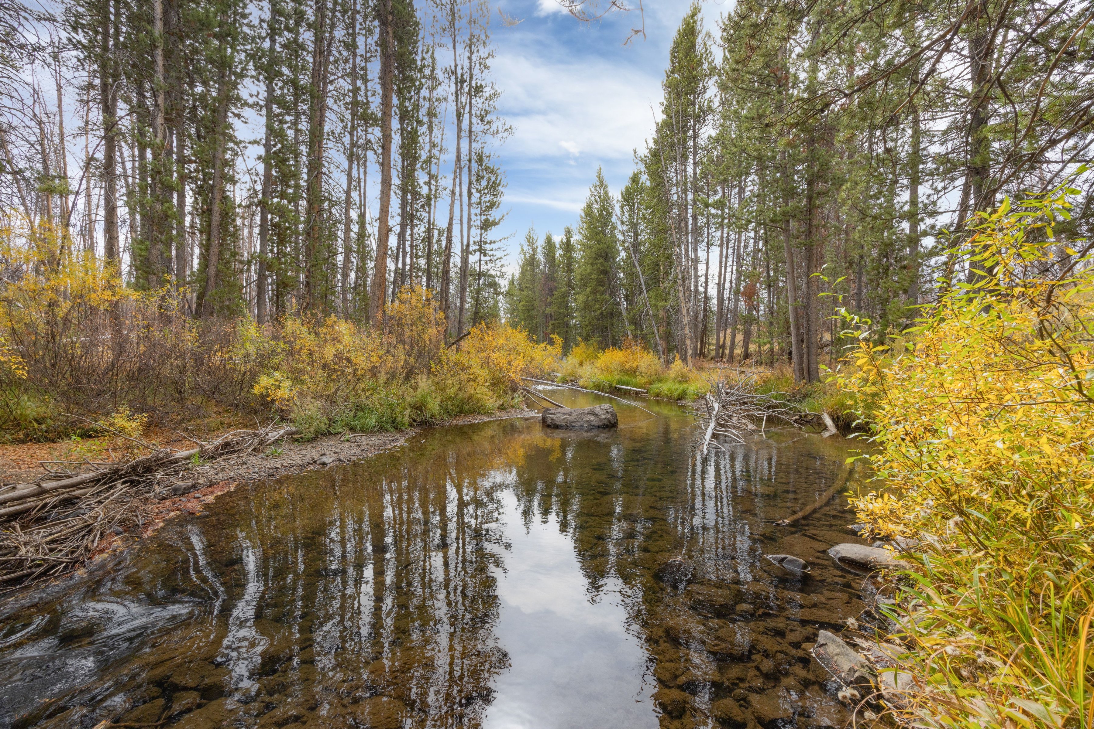  A Rare Creekside Retreat In The Sawtooths - 物件實景