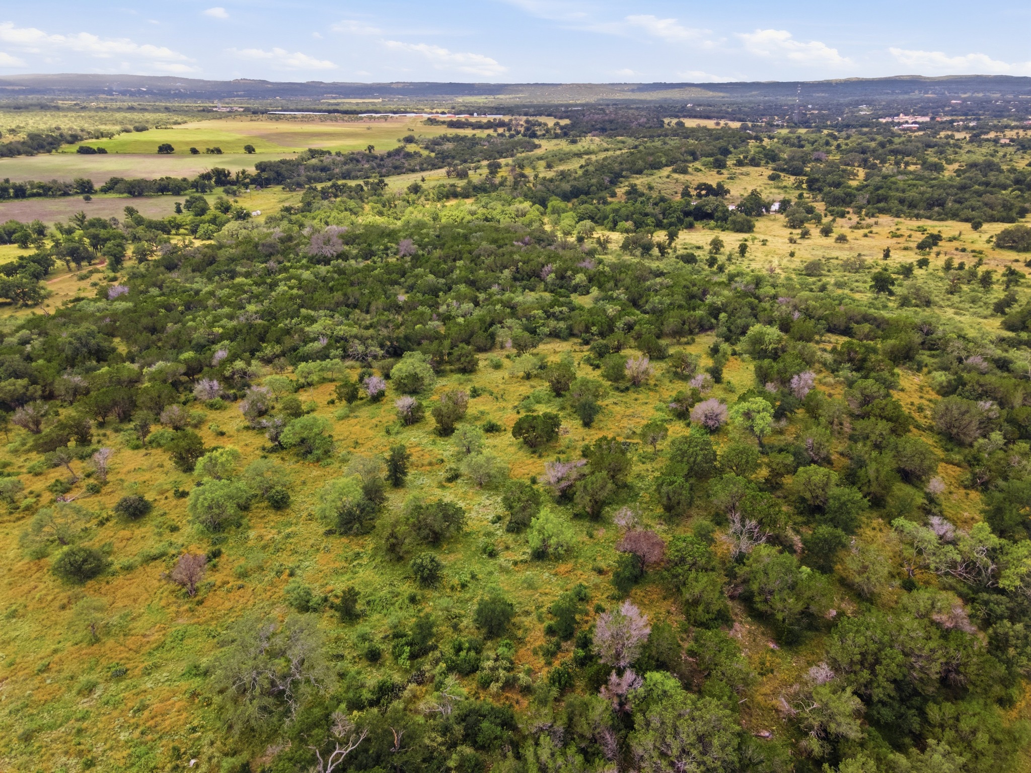  16 Acres in Spicewood - 物件實景