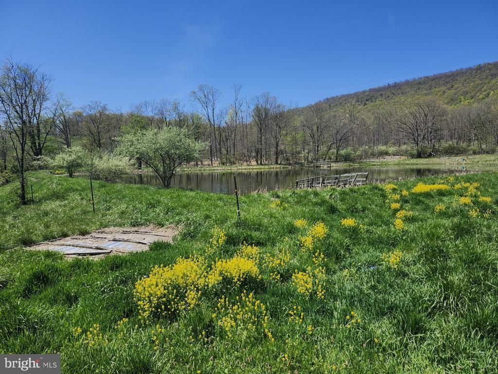 MAYSVILLE, West Virginia, 26833, United States, ,Residential,For Sale,1784747