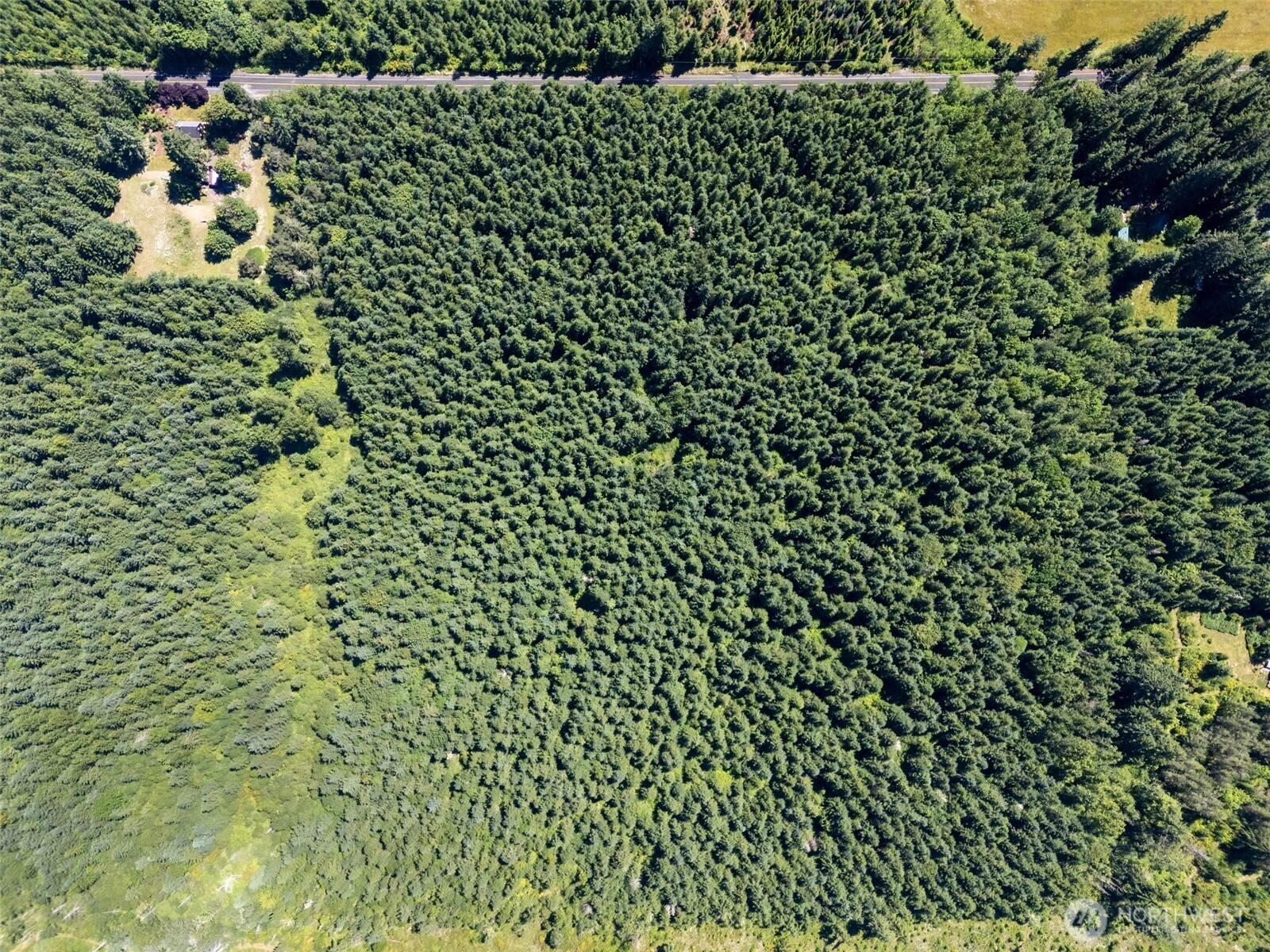 Ethel, Washington, 98542, United States, ,Residential,For Sale,1936927